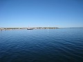 Mackinaw Island Area May 2008 0148